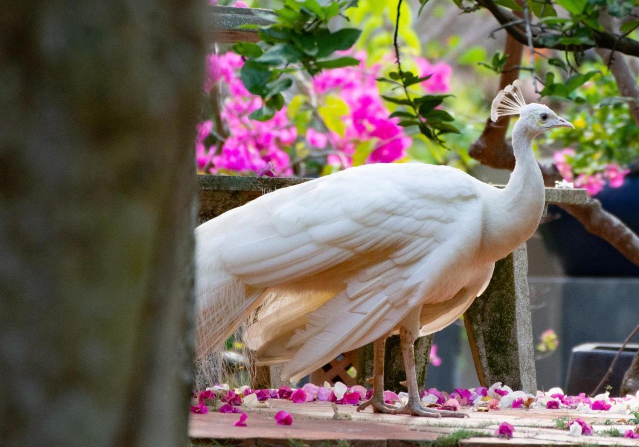 Les Hameaux De L'Orient Hotel Ho Chi Minh City Bagian luar foto